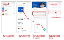私密圈码,揭秘神秘社交圈的神秘面纱